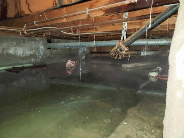  Bunkie, LA Water damage restoration Pros