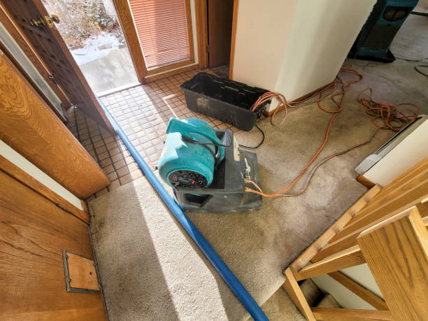 Water damage restoration mold remediation in Bunkie, LA