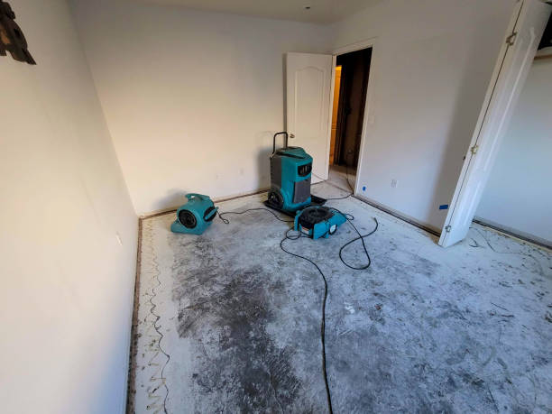 Best Basement water damage restoration  in Bunkie, LA