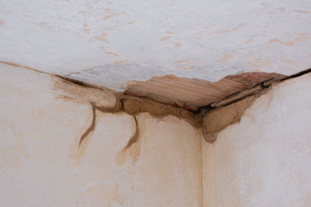 Best Ceiling water damage repair  in Bunkie, LA