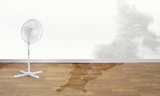 Professional Water damage restoration in Bunkie, LA